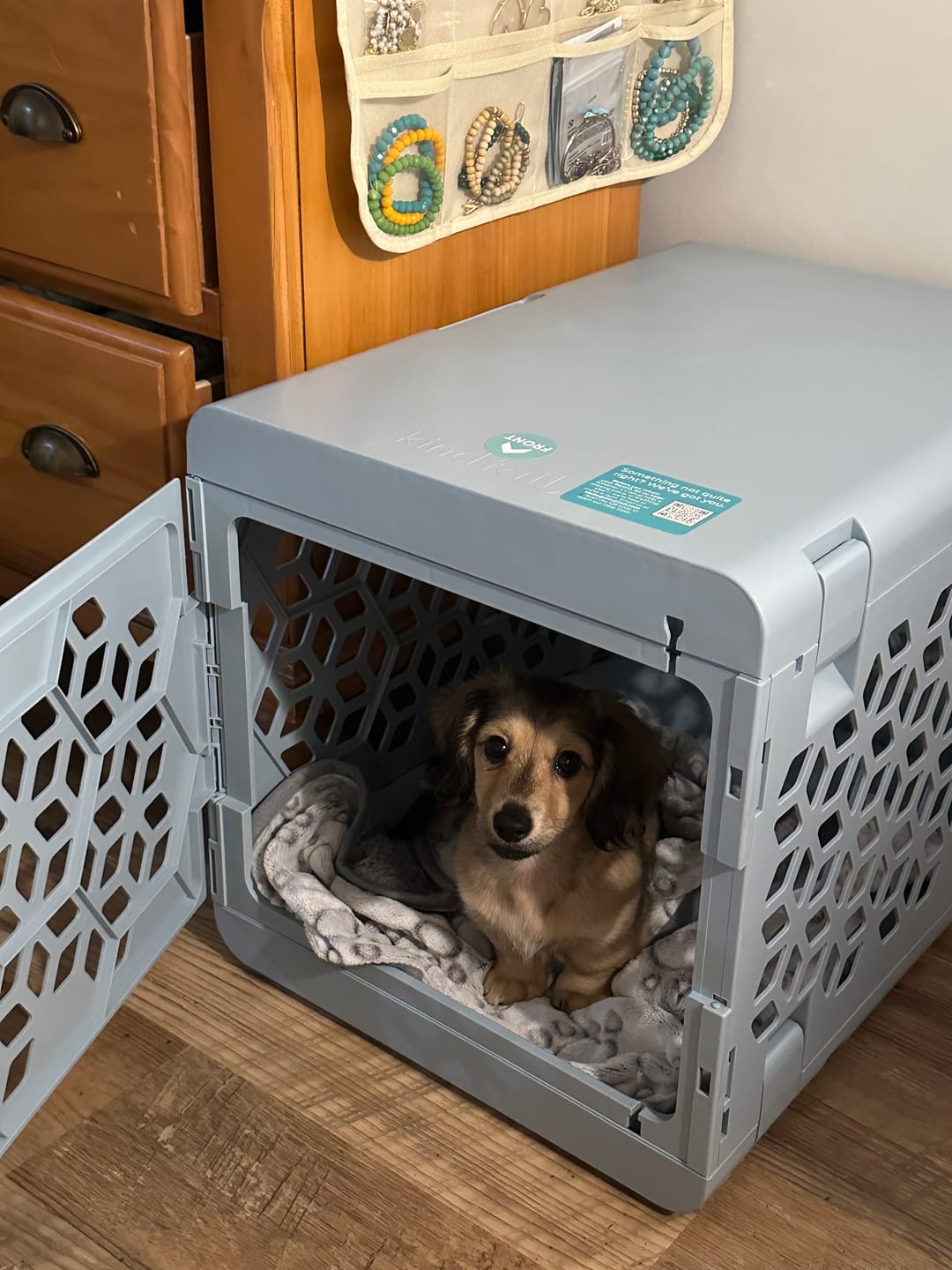 Customer photo review of PAWD®  Modern Collapsible Dog Crate