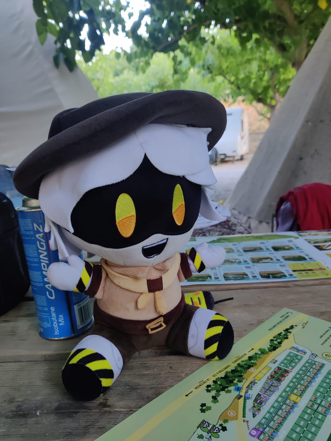 Customer photo review of N Camping Plush