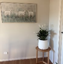Customer photo review of The Tranquil Pot