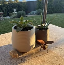 Customer photo review of The Tranquil Pot