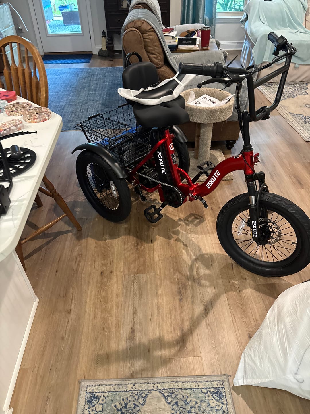 Customer photo review of Eskute® T300 Folding Electric Trike