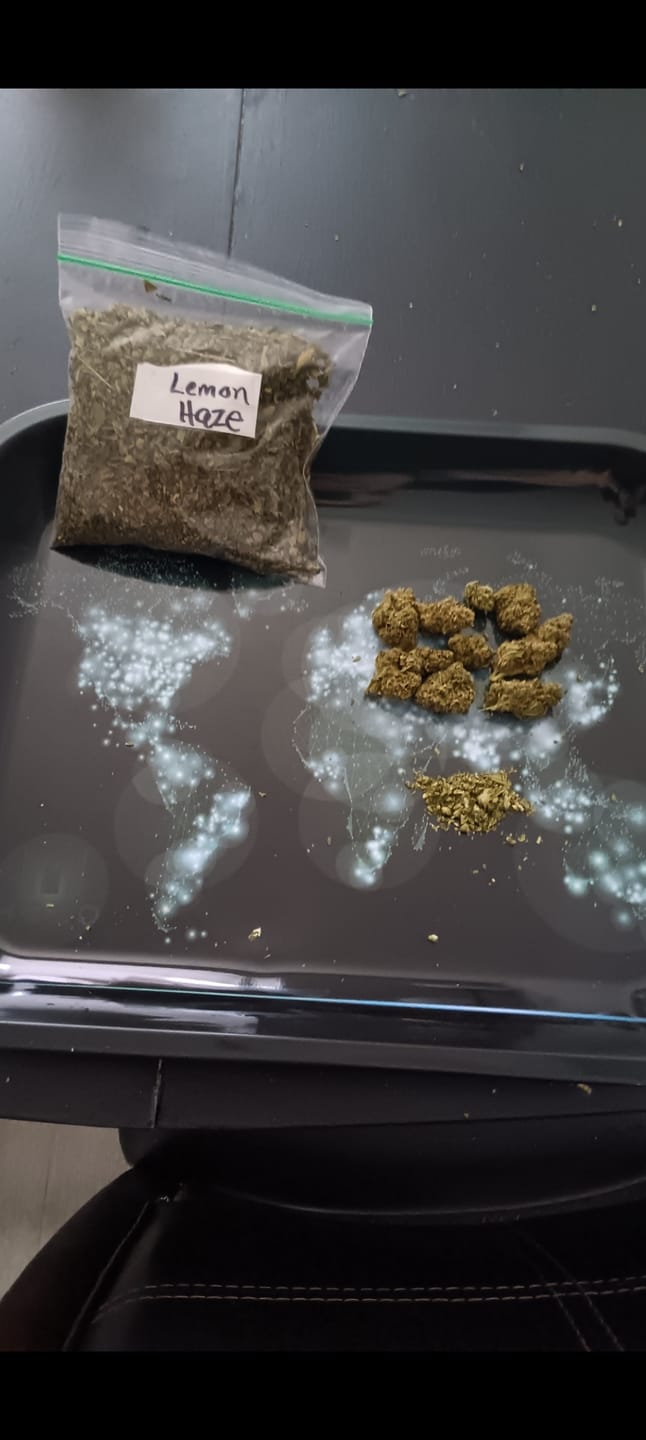 Customer photo review of Lemon Haze Indoor THCA Trim