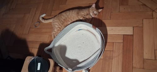 Customer's Fellnest Katzenkorb, a grey woven basket on a wooden floor, with an orange tabby cat nearby.