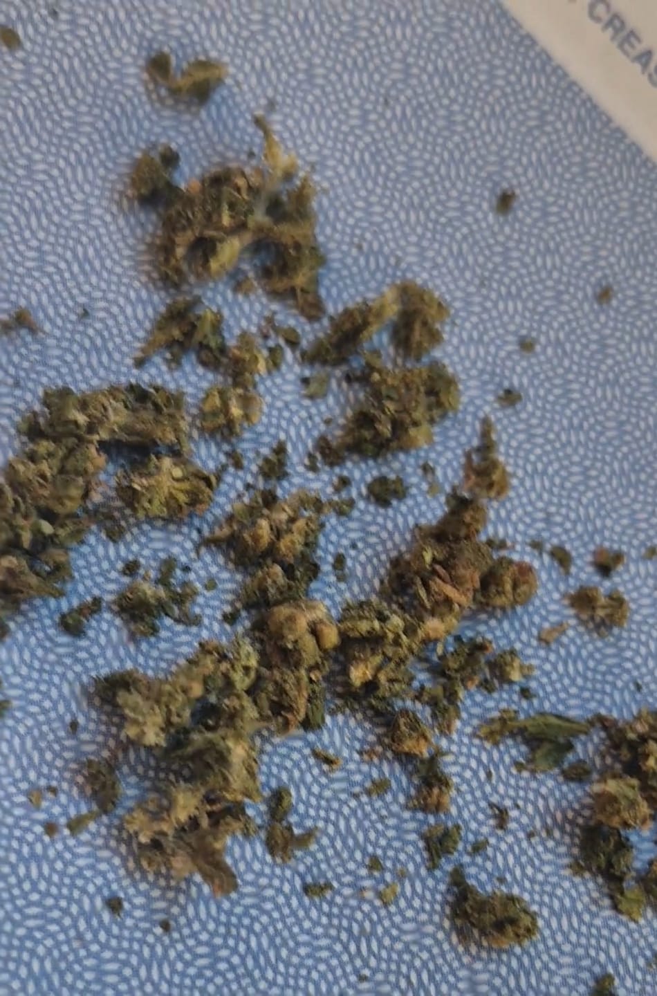 Customer photo review of Blueberry Syrup - Minis - 28 Grams - Indica