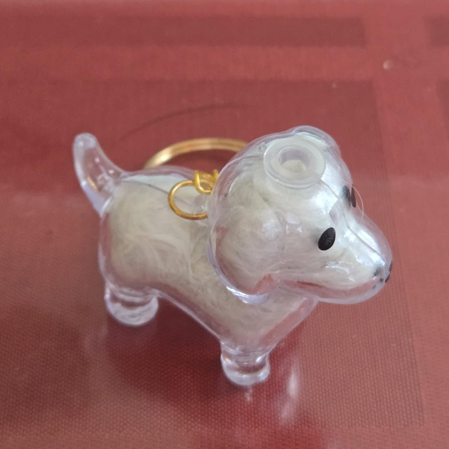 Customer photo review of Llavero para guardar pelo de mascota
