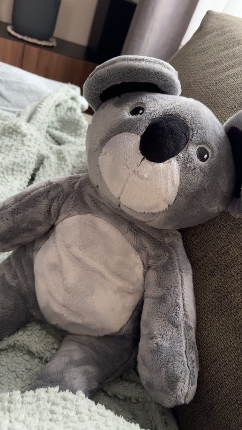 Customer photo review of Lotgenootje Koala 2kg