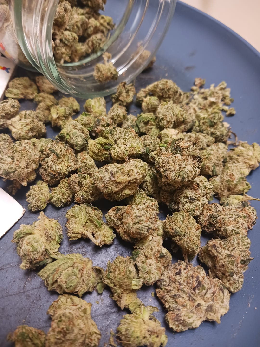Customer photo review of Zkittlez THCA Flower (Budget)