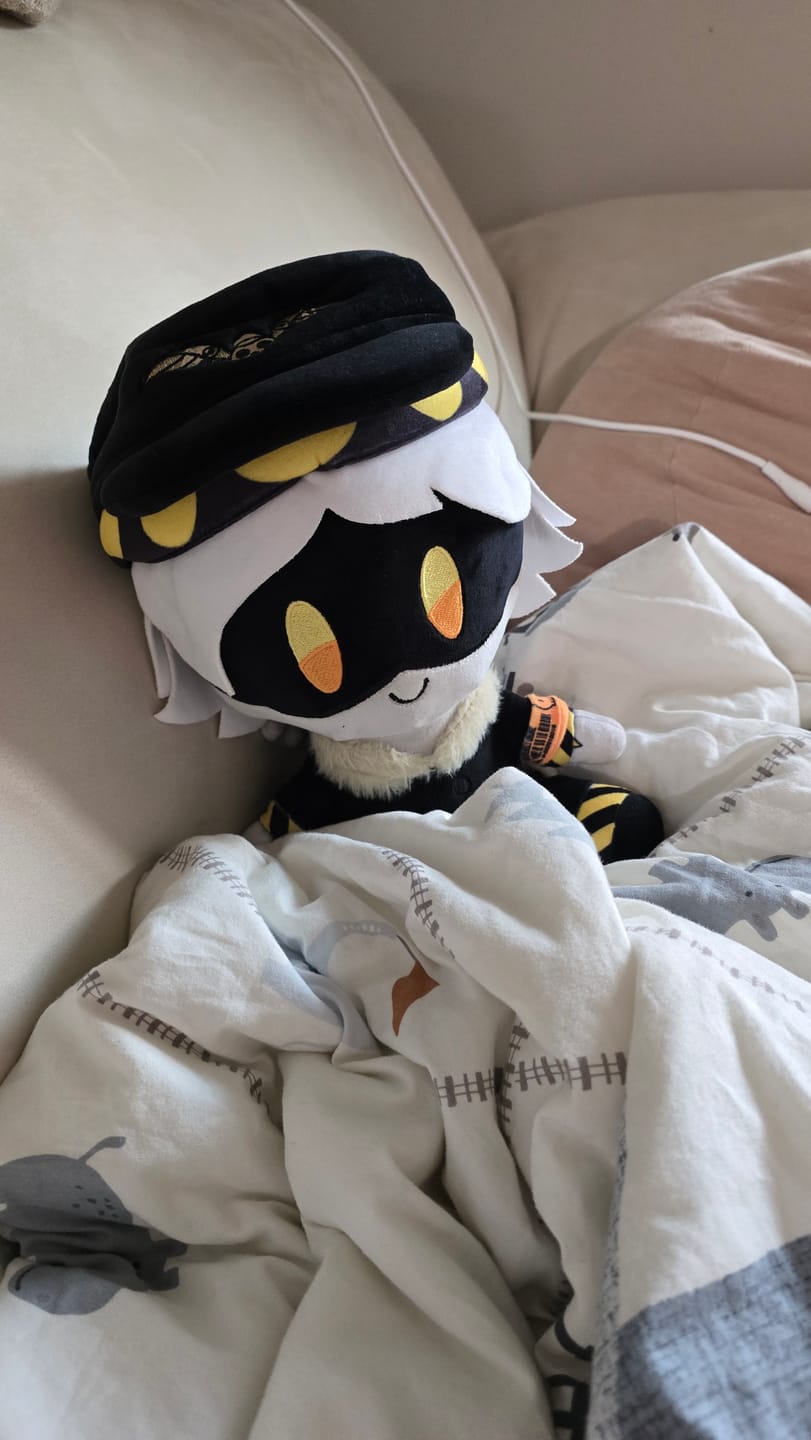 Customer photo review of N Plush