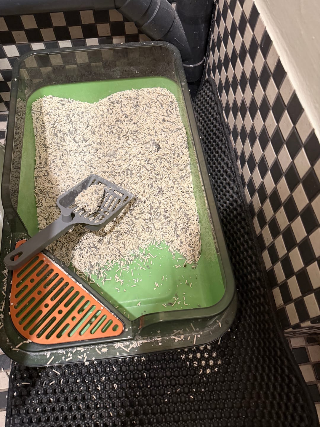 Customer photo review of Ecoboco Blend Cat Litter 3kg - Tofu+Tapioca