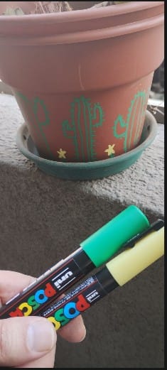 Customer photo review of Uni Posca PC-5M - Marcador Medios Clásico
