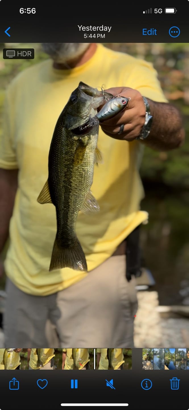 Customer photo review of PoPobait Topwater Bass Lure Plopper Lure | Double Blade