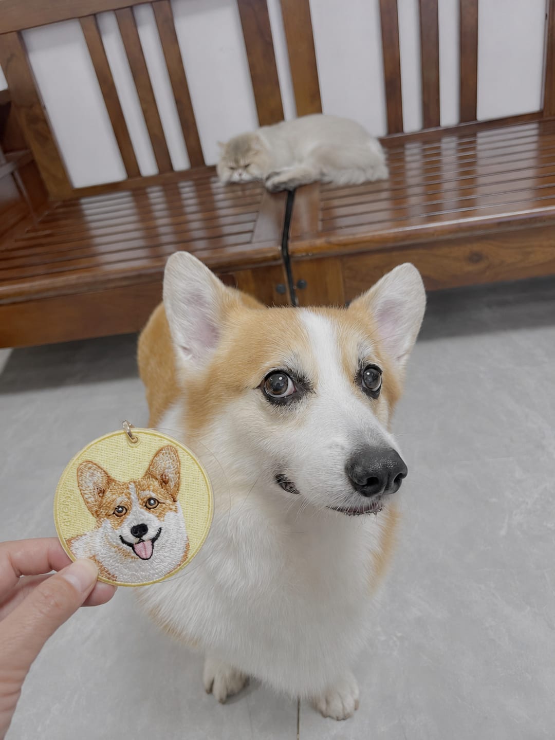 Customer photo review of Customized embroidered pet tags