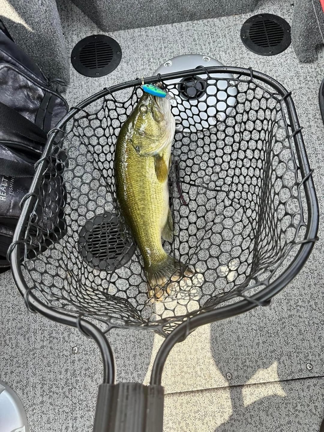 Customer photo review of PoPobait Topwater Bass Lure Plopper Lure | Double Blade