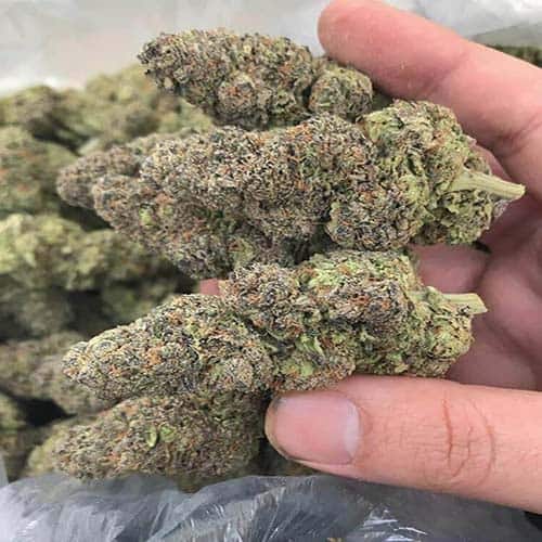 Blue Dream - 14 Grams - Sativa photo review