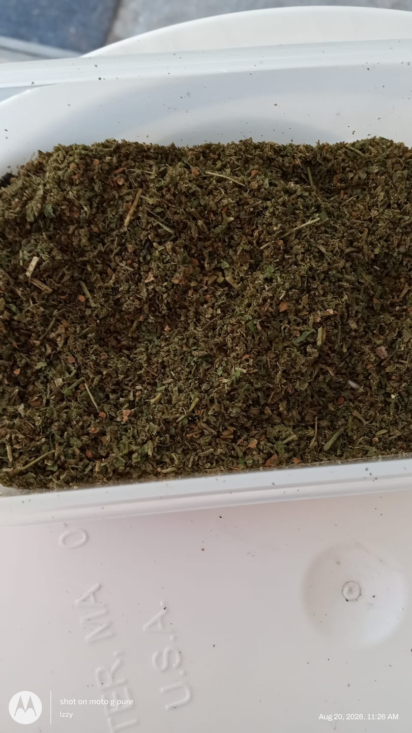 Customer photo review of Girl Scout Cookie Shake (BOGO)