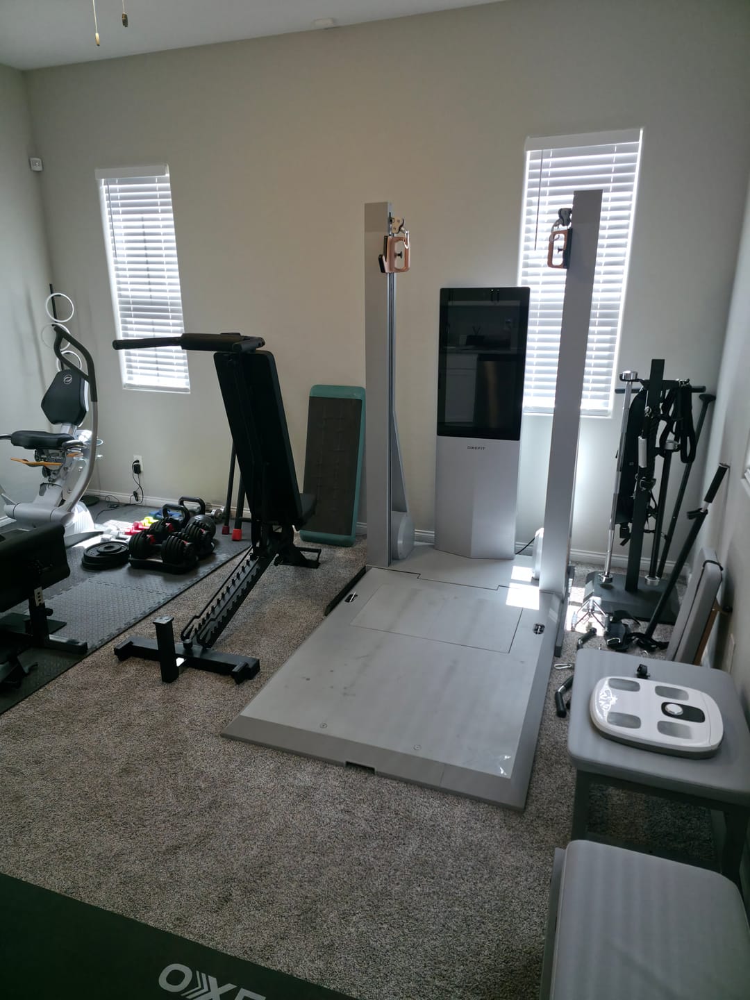 Customer photo review of APEX DIP STATION