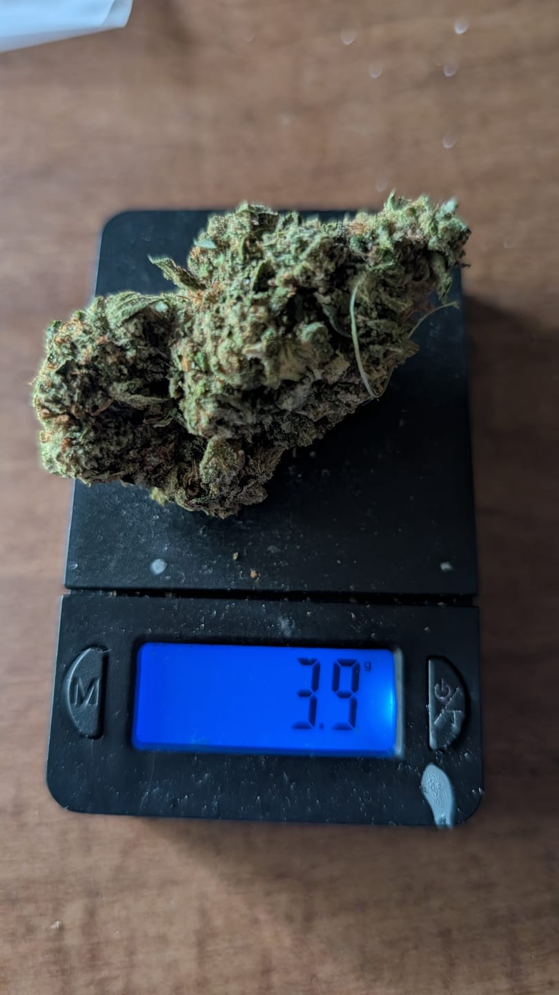 Customer photo review of Grape Gas - 28 Grams - Hybrid