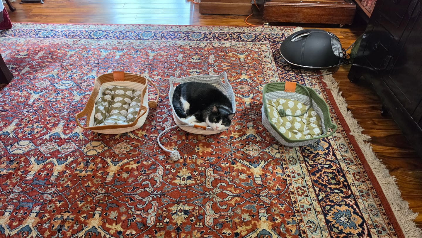 Customer photo review of Instinct Basket | Meet the first research-backed natural territory for indoor cats