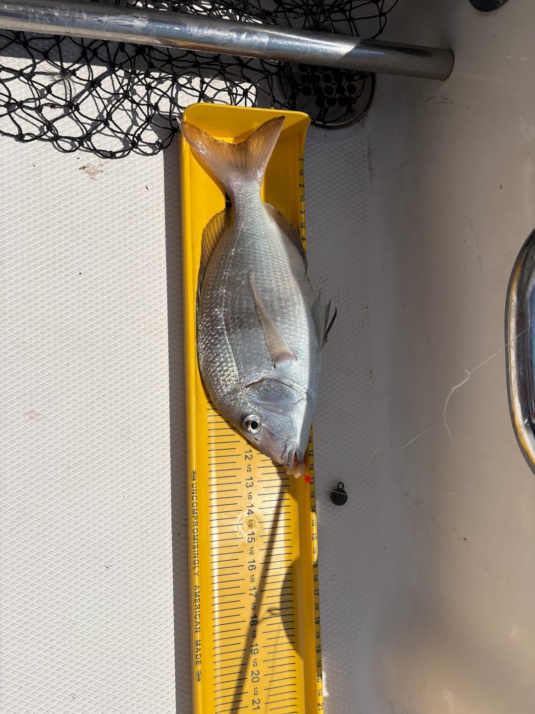 Customer photo review of Ketch Karbonate Measuring Board