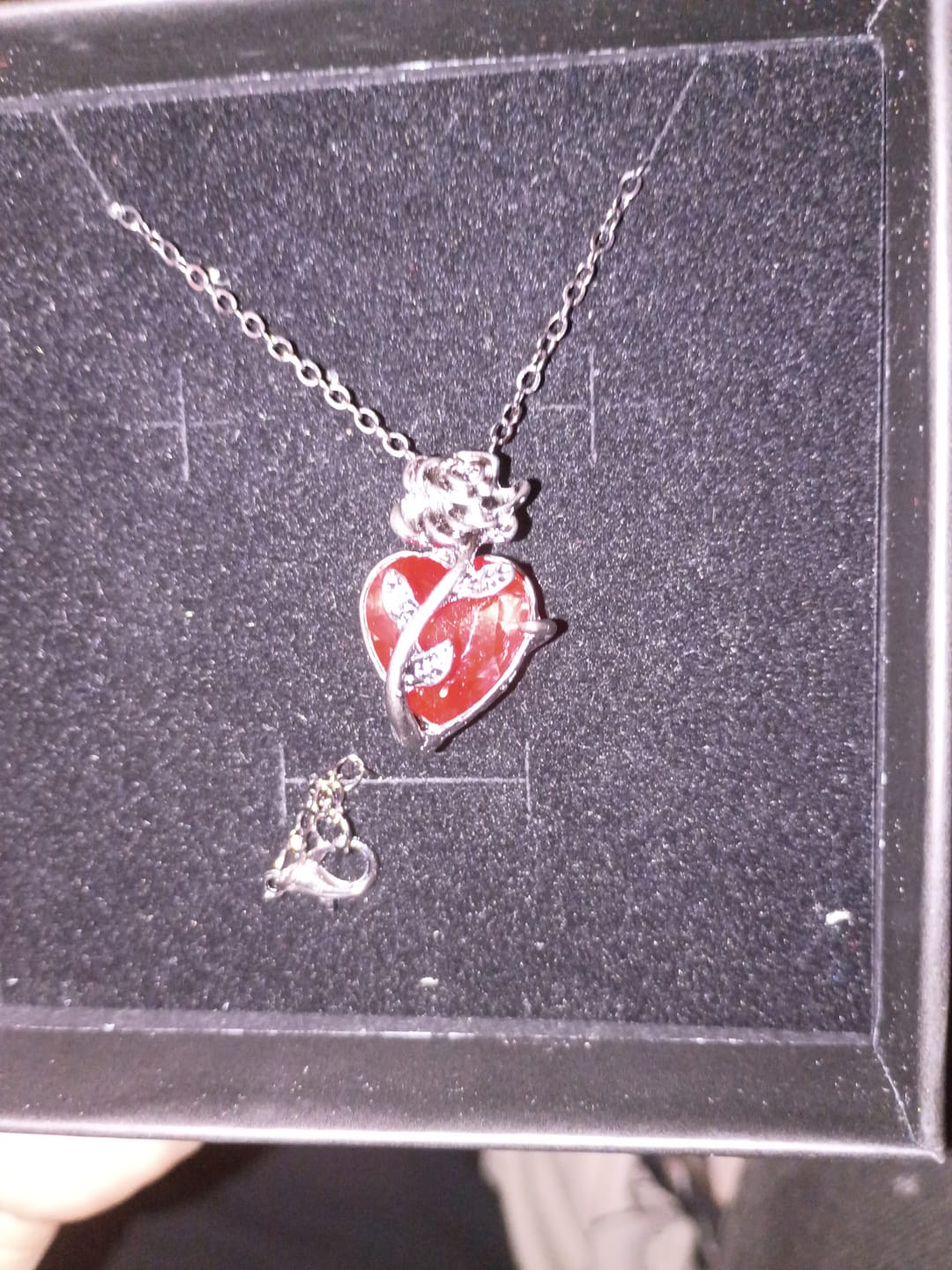 Customer photo review of FREE Today: Dark Romance Ruby Heart Rose Necklace