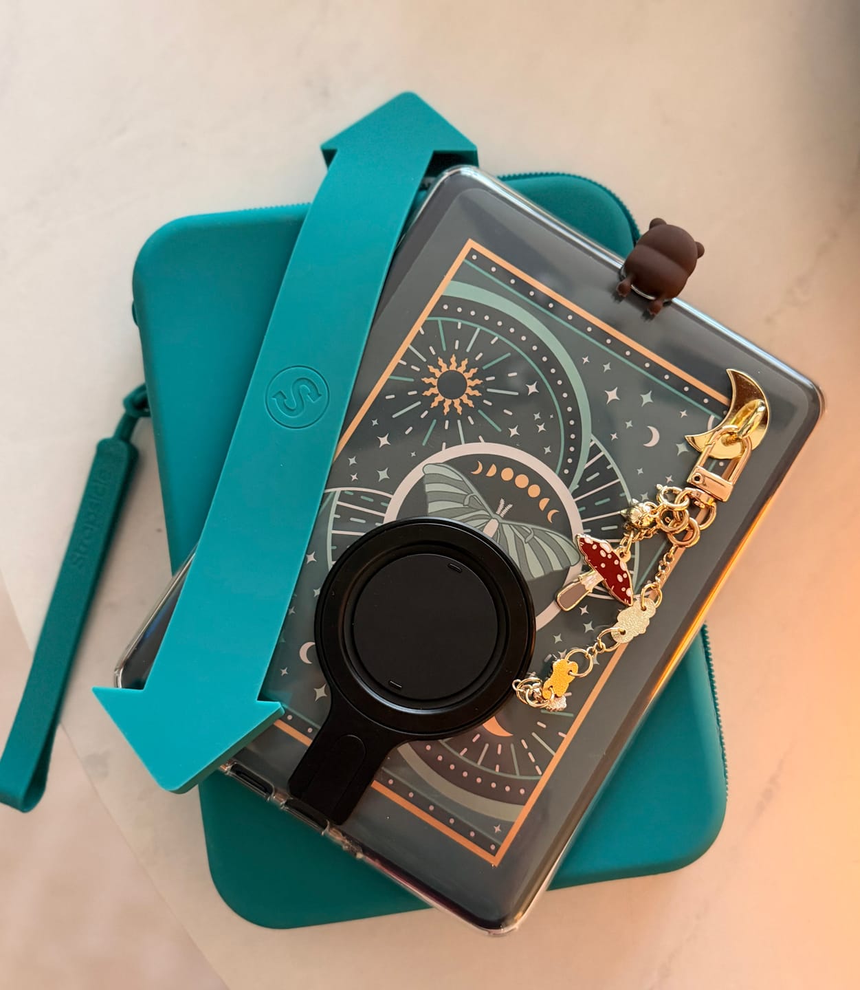 Customer photo review of Luna Moth eReader Sticker Insert
