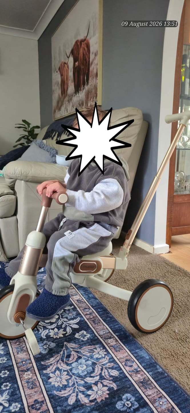 Customer photo review of Toddler Push Trike with Parent Handle 5-in-1 Kids Trike Balance Bike