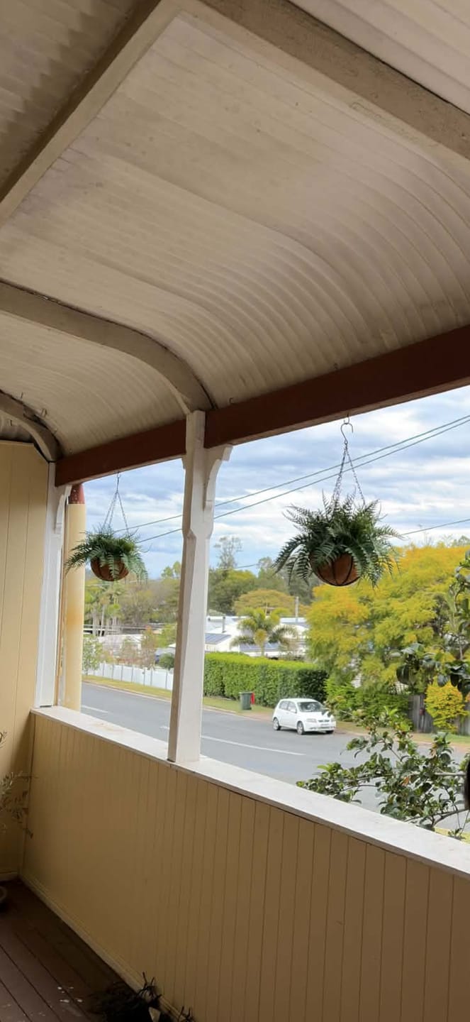 Customer photo review of 55cm UV Resistant Artificial Fern Hanging Basket - Indoor/Outdoor