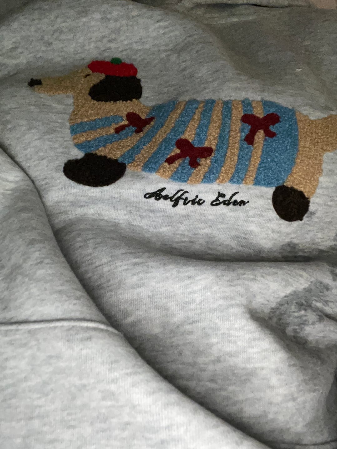 Customer photo review of Aelfric Eden Cartoon Dachshund Hoodie
