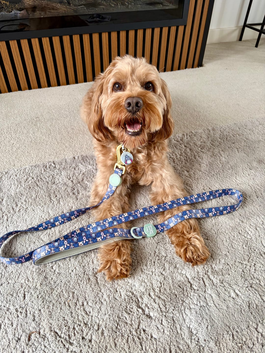 Customer photo review of Disney© Lead - Winnie + Friends
