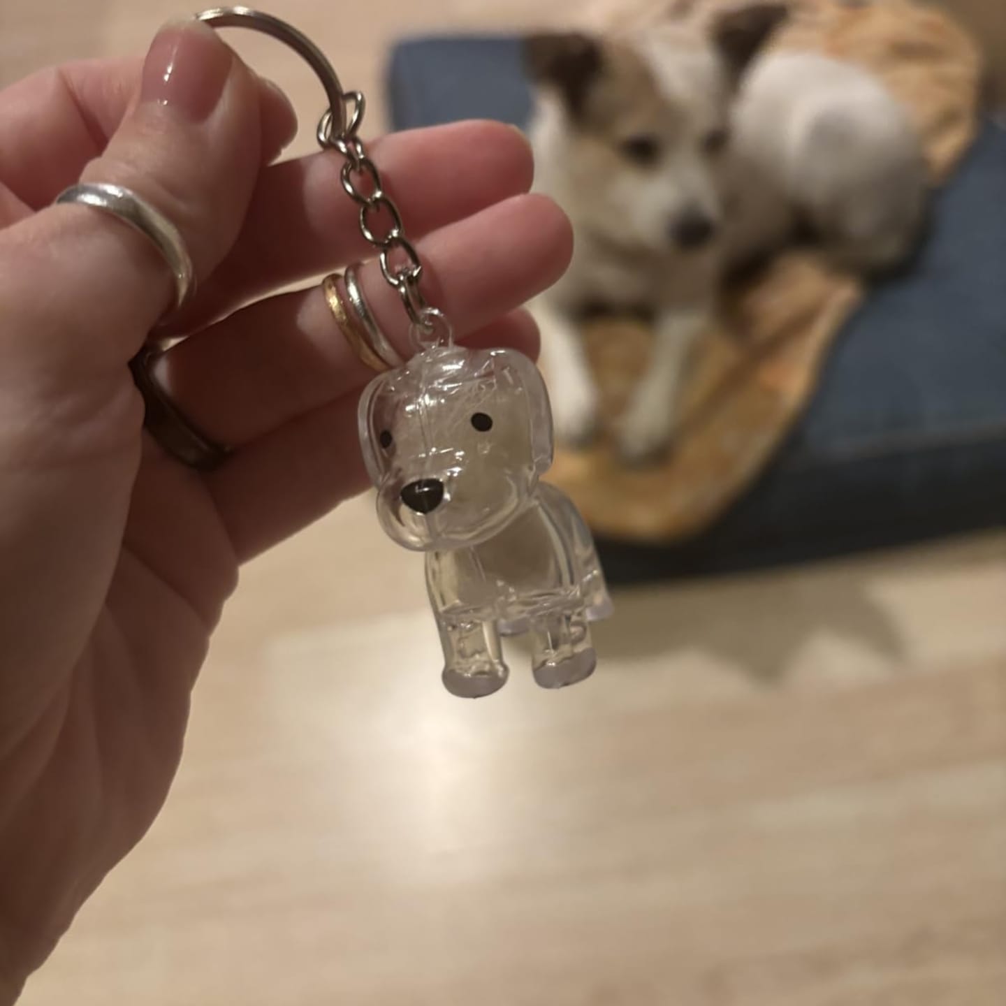 Customer photo review of Llavero para guardar pelo de mascota
