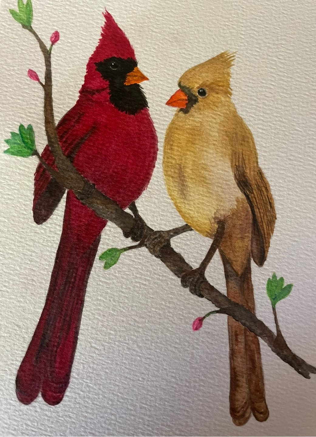 Customer photo review of 3x2.5 Vertical Mini Prints