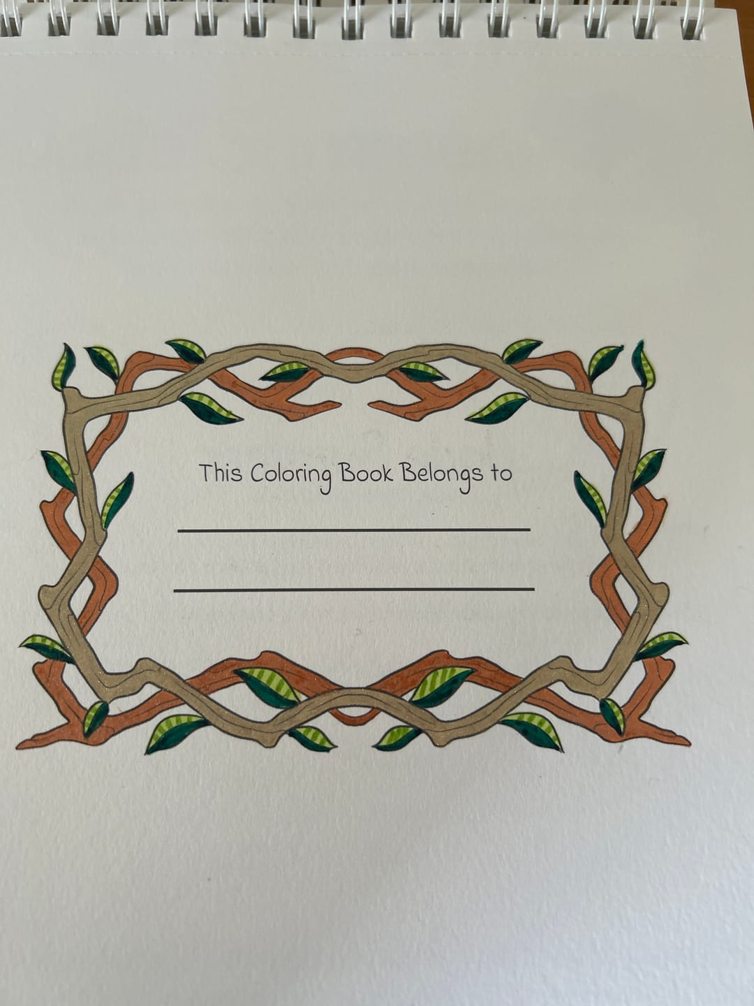 Customer photo review of Ohuhu x Jade Summer Alcohol Markers & Coloring Book Set, 47 Colors + 1 Colorless Blender, Honolulu B, Brush & Fine Dual Tips