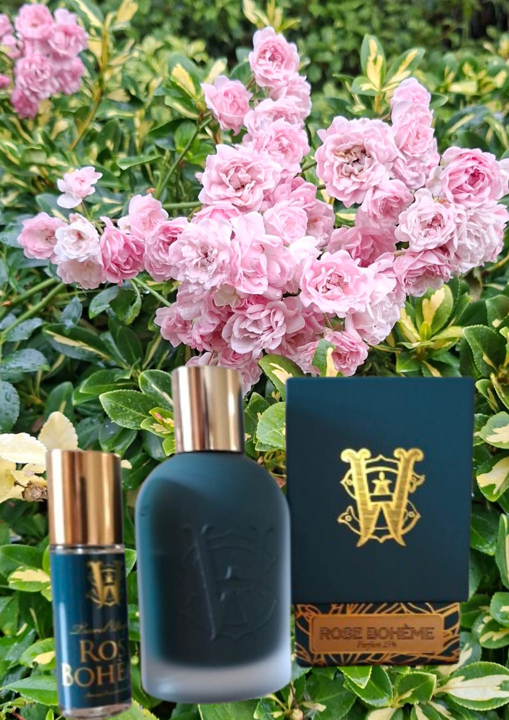 Customer photo review of Rose Boheme