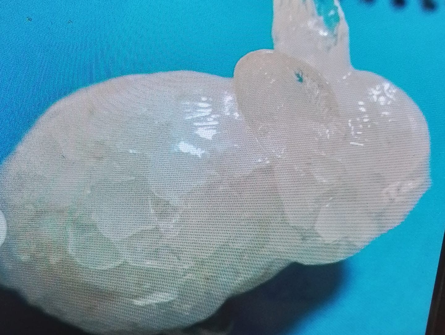 Customer photo review of Olivenorma Crystal Bunny Figurine Gemstone Decoration