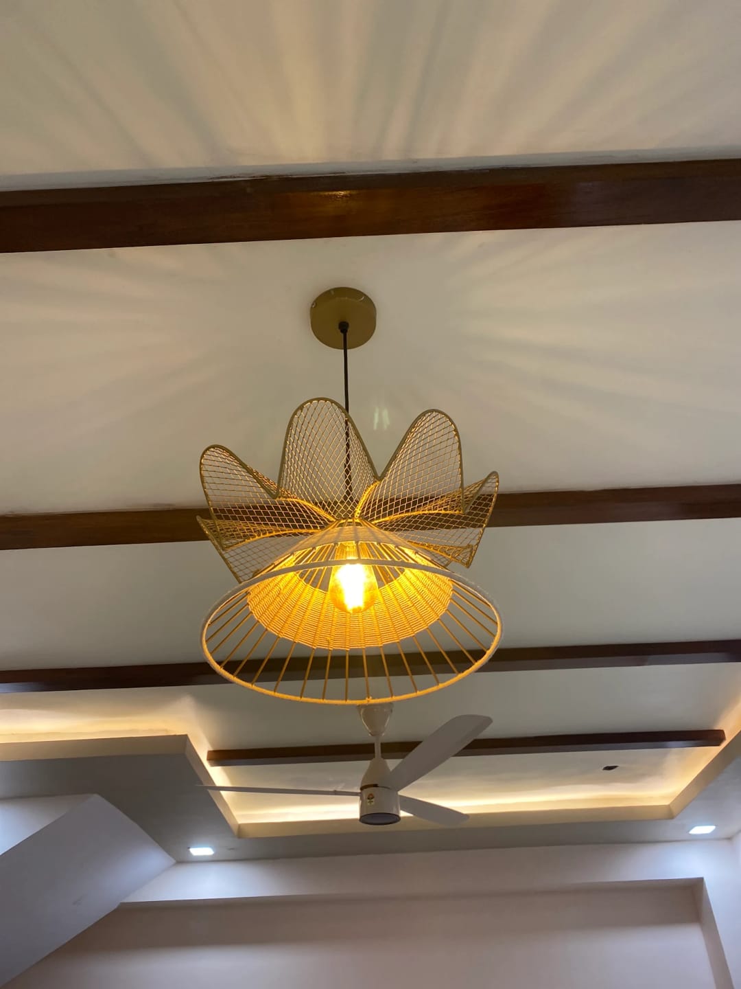 Customer photo review of Fucius Metal Hanging Lamp
