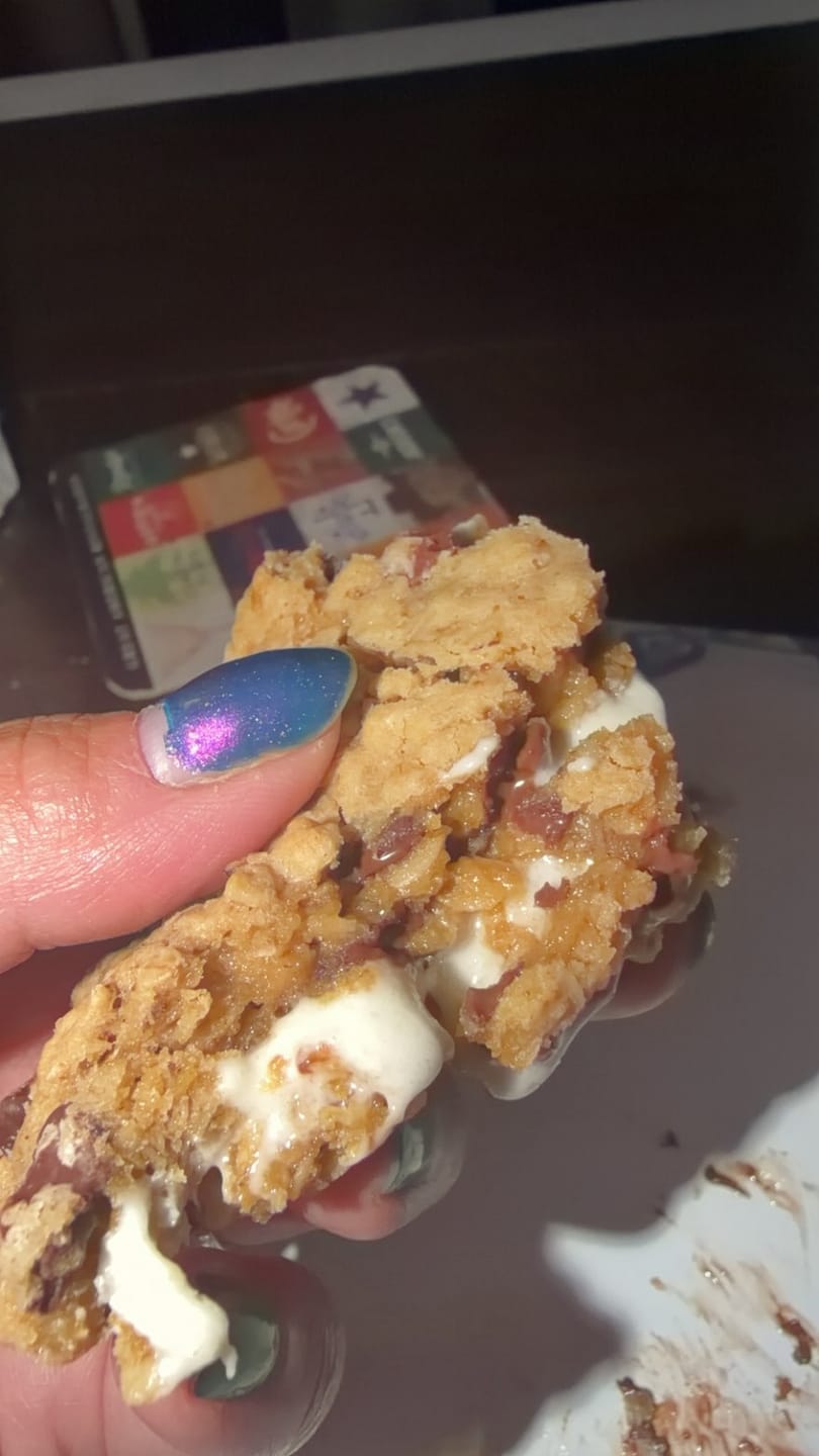 Customer photo review of Oatling Oatmeal Chocolate Chip Cream Pies