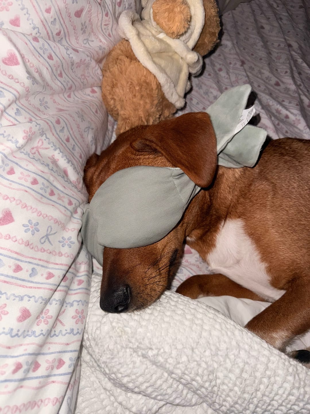 Customer photo review of Dozzli Weighted Sleep Mask