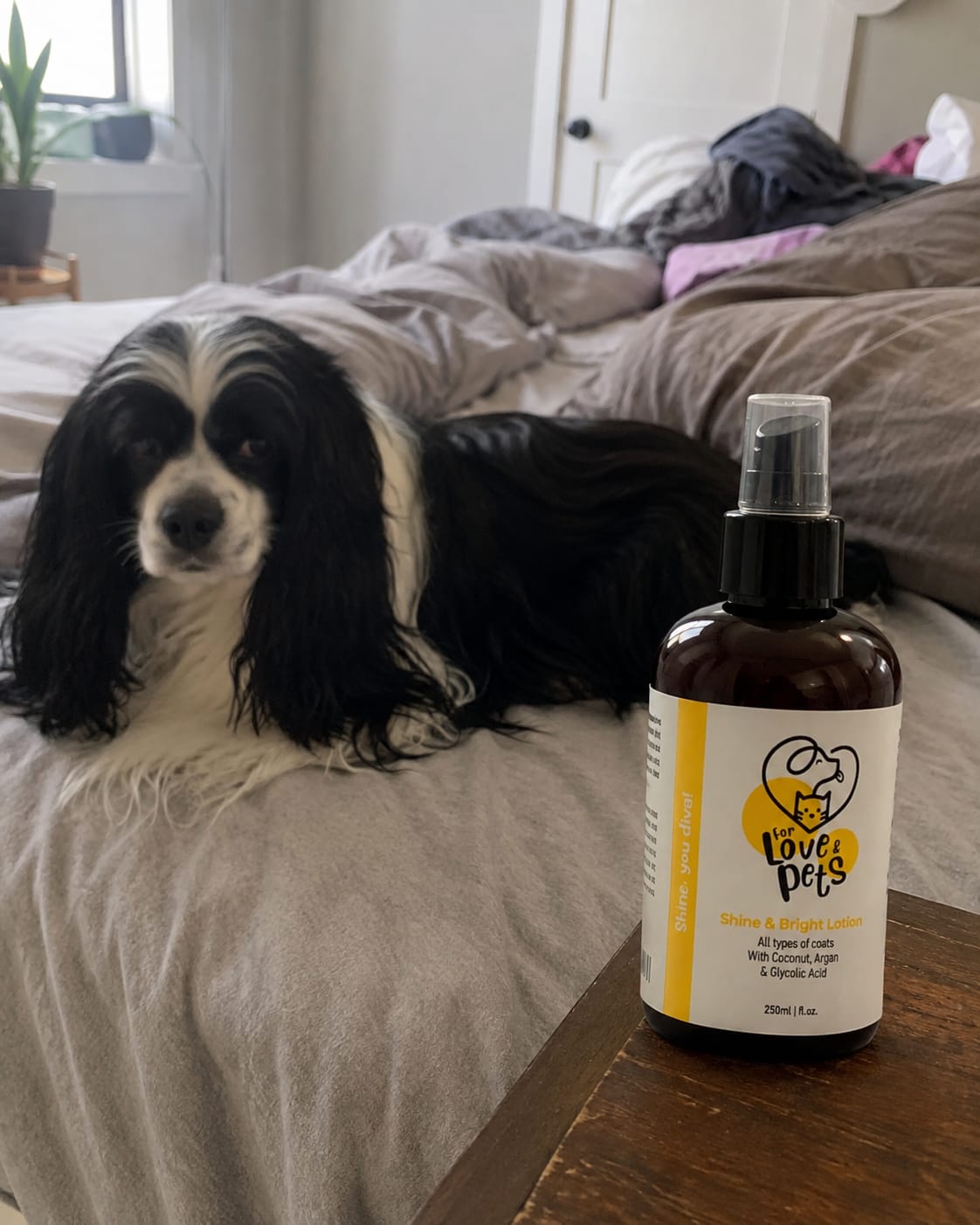 Customer photo review of Λοσιόν Λάμψης για Σκύλους & Γάτες 250ml , Απαλό και Λαμπερό Τρίχωμα Χωρίς Ξέβγαλμα