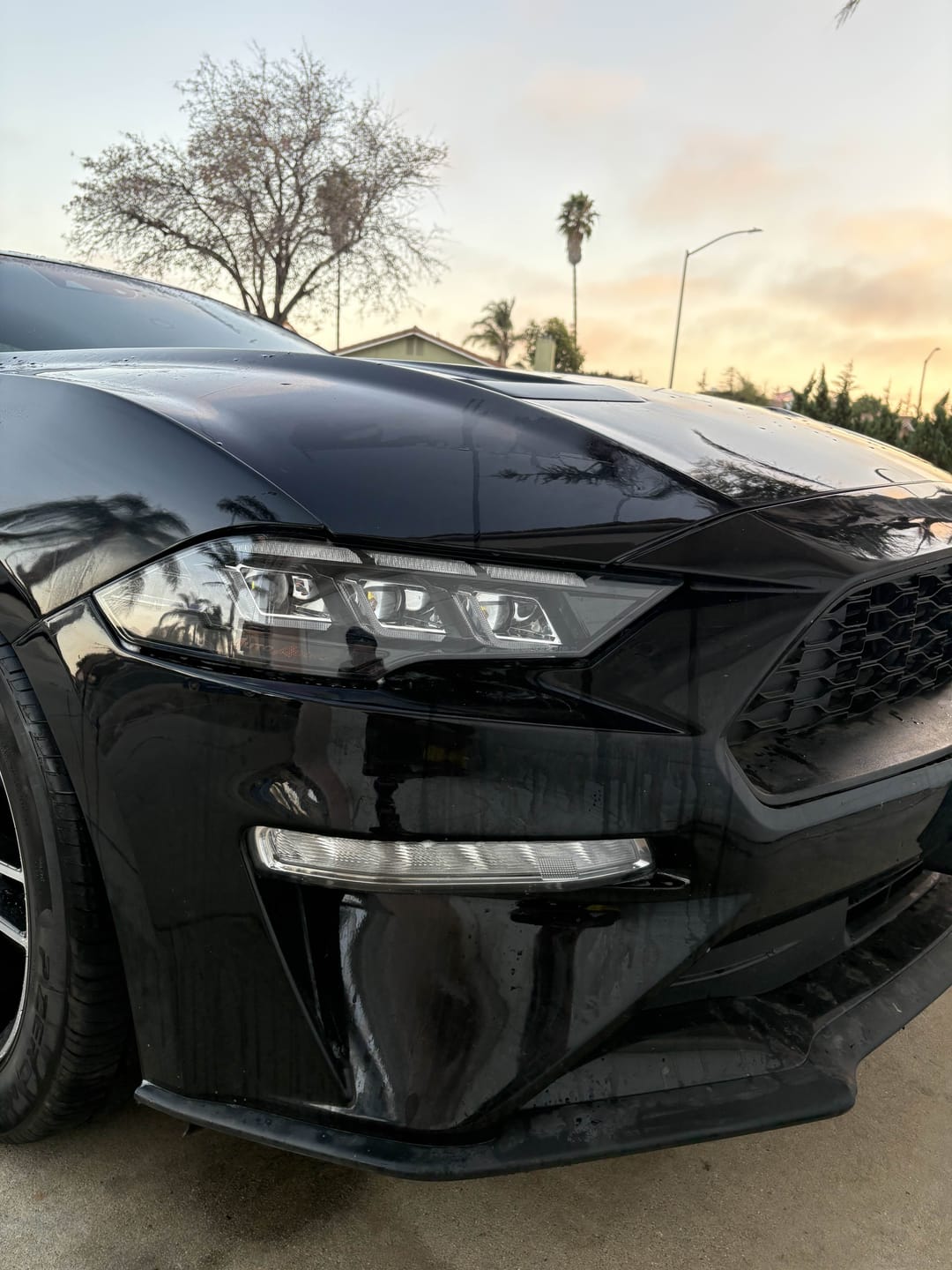 Customer photo review of 2018-2023 Ford Mustang Projector Headlights S650 Style LED Amber Sequential Turn Signals