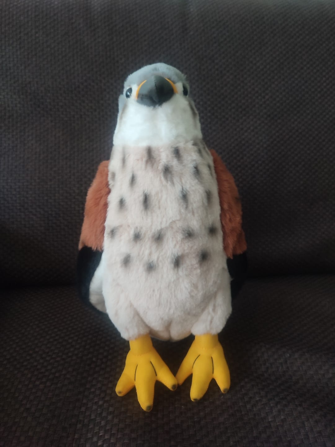 Customer photo review of Eurasian Kestrel Soft Stuffed Plush Toy