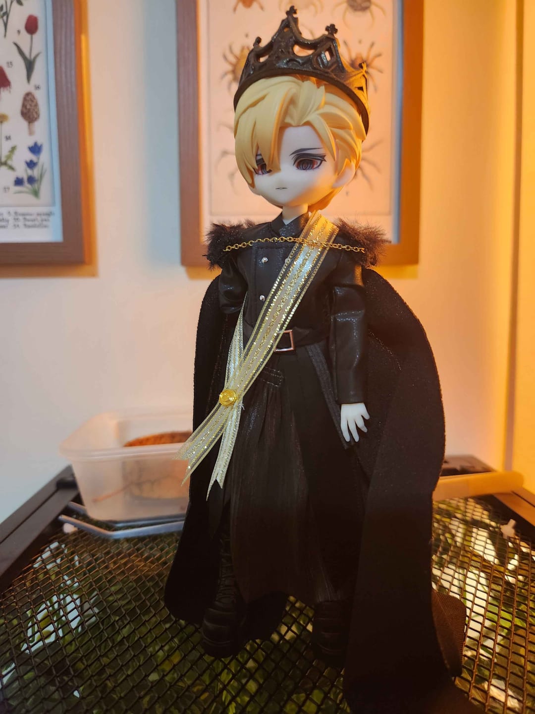 Customer photo review of Mita Tarot Series 1/8 Action Figure BJD Blind Box