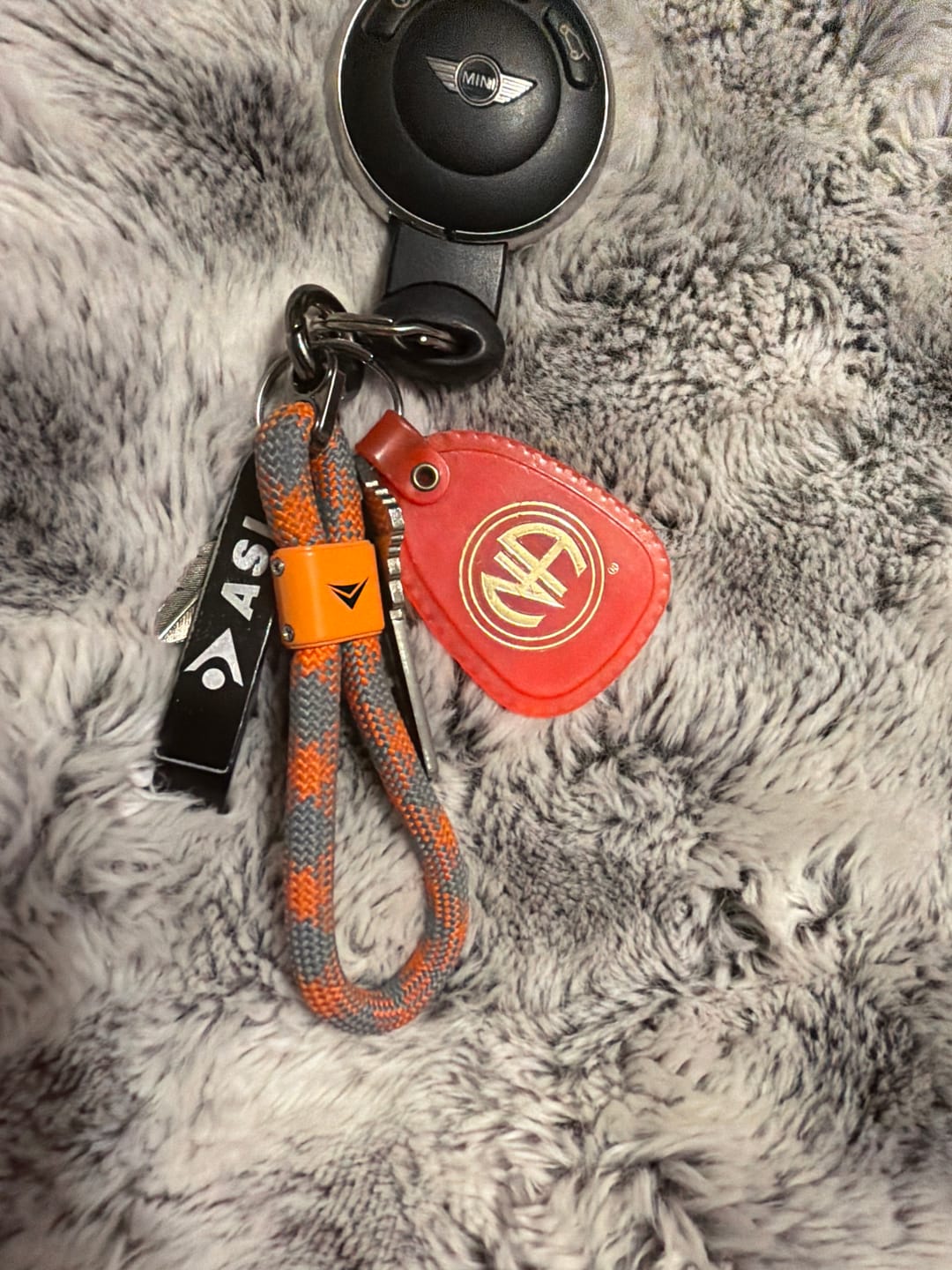 Customer photo review of Apex Key Loop