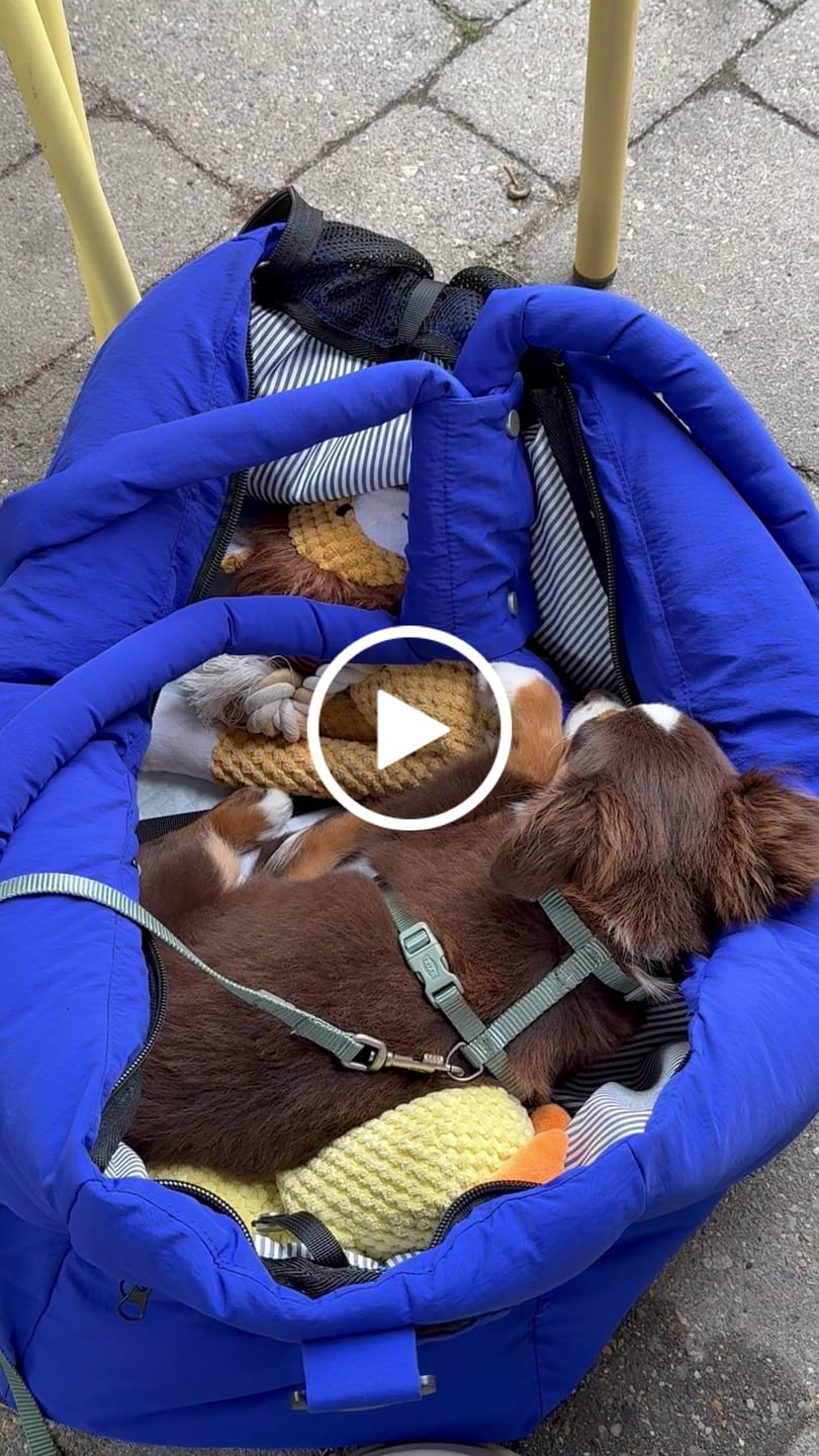 Customer video review of Sac de voyage bleu