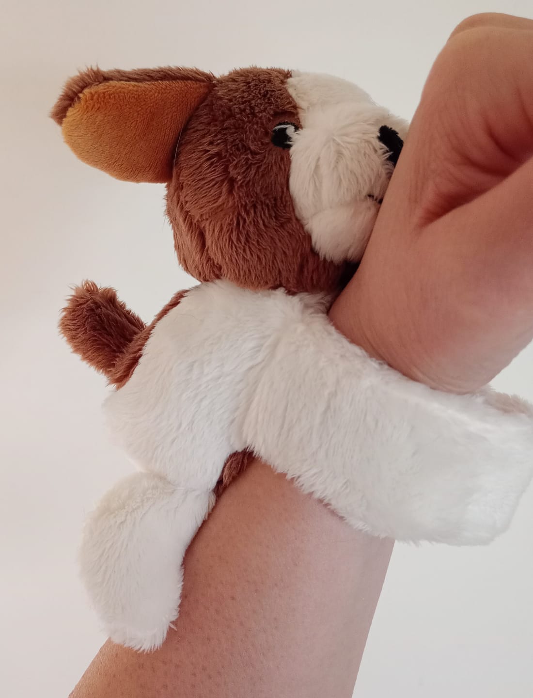 Customer photo review of Mini Lotgenootje Hond