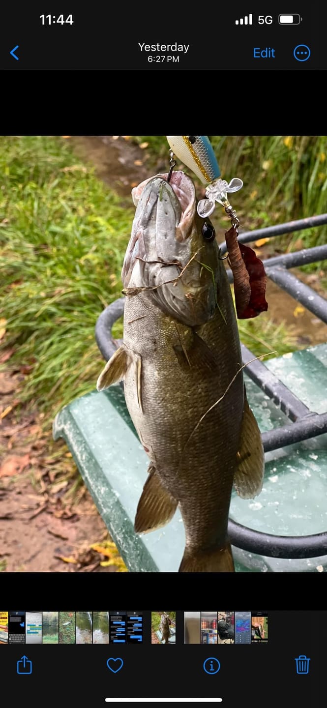 Customer photo review of PoPobait Topwater Bass Lure Plopper Lure | Double Blade