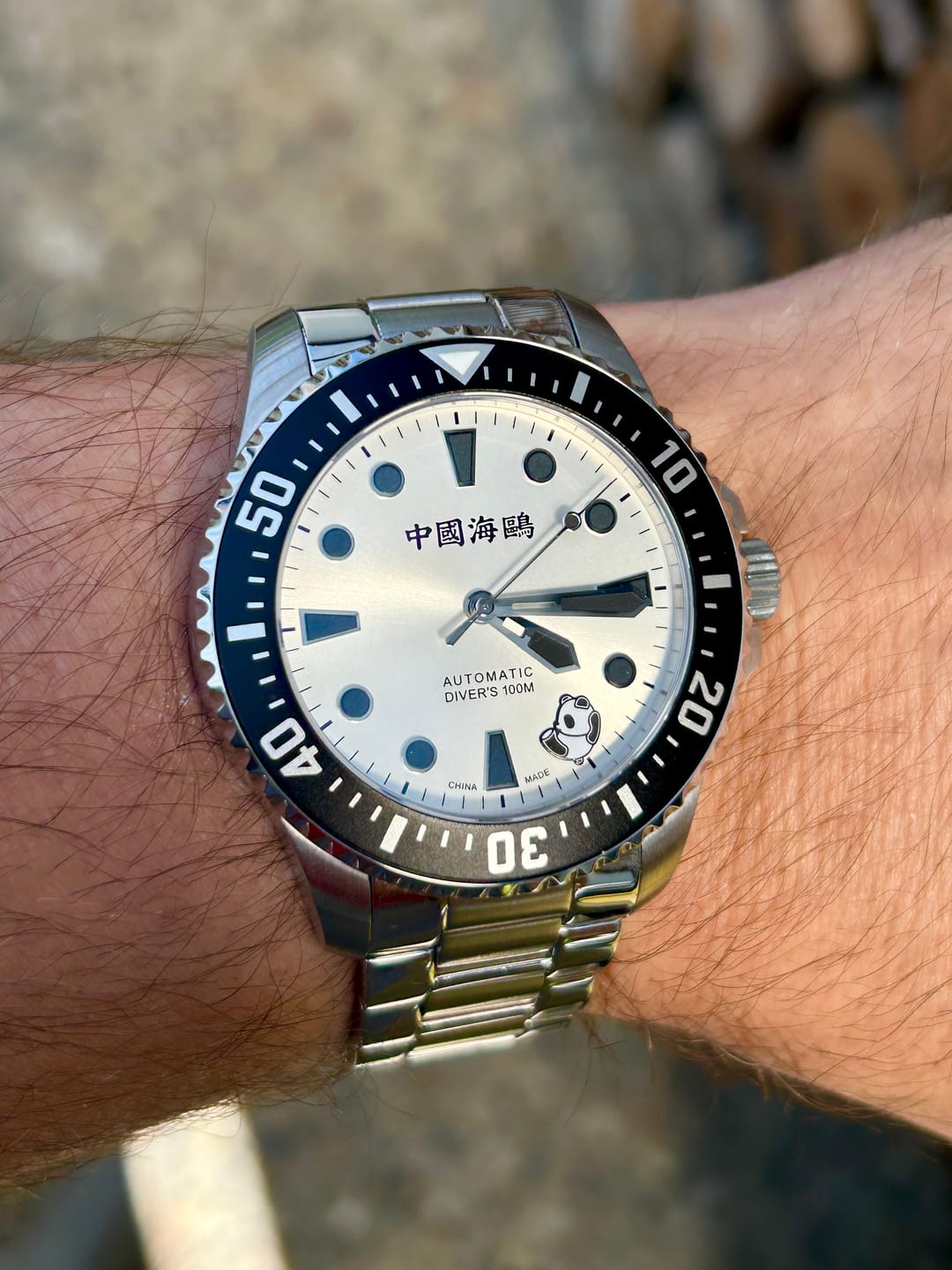 Customer photo review of Dive | Rolling Panda | Luminous | 100m Waterproof | 44mm