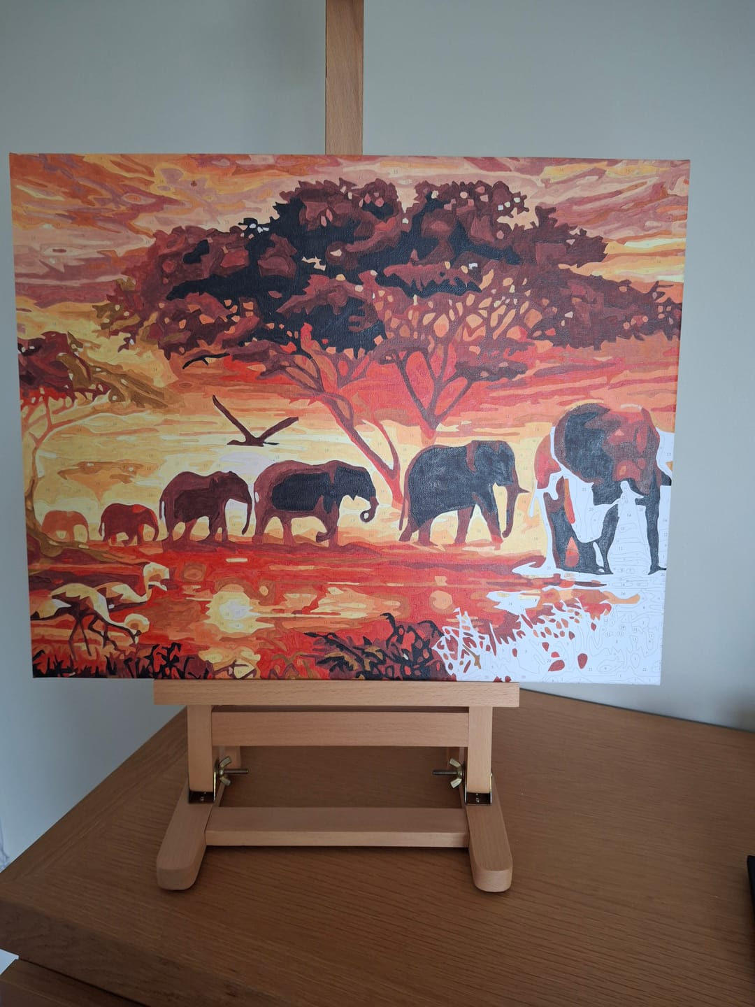Customer photo review of Eléphants au Coucher du soleil
