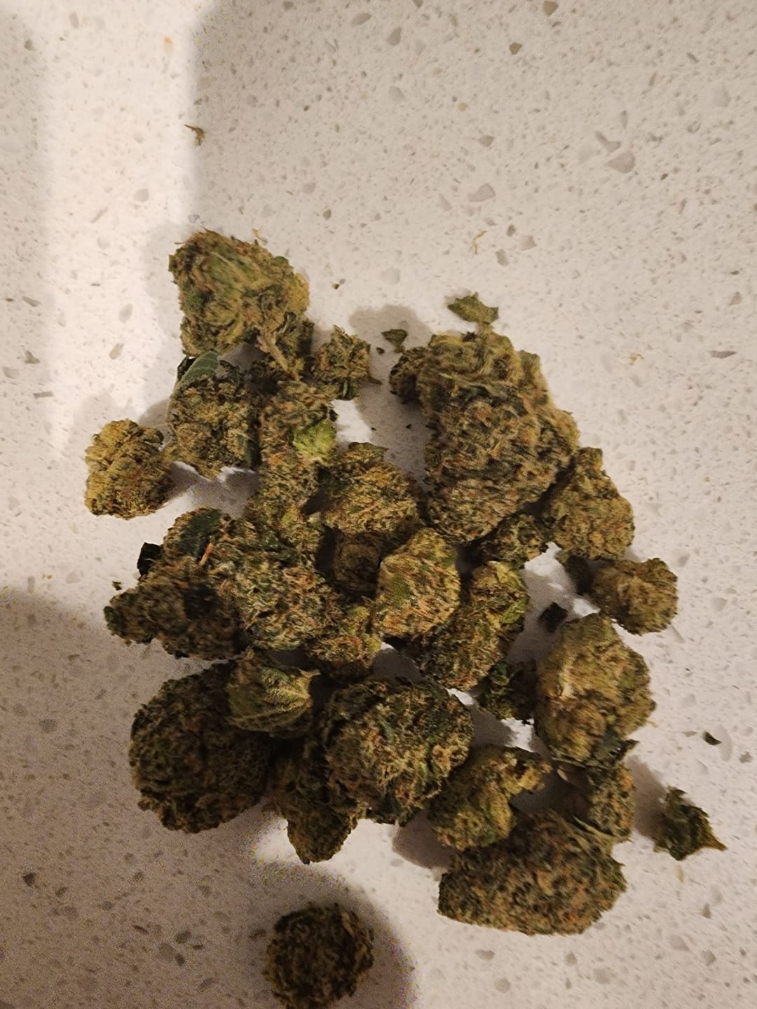 Customer photo review of Biscotti THCA Flower (Budget)