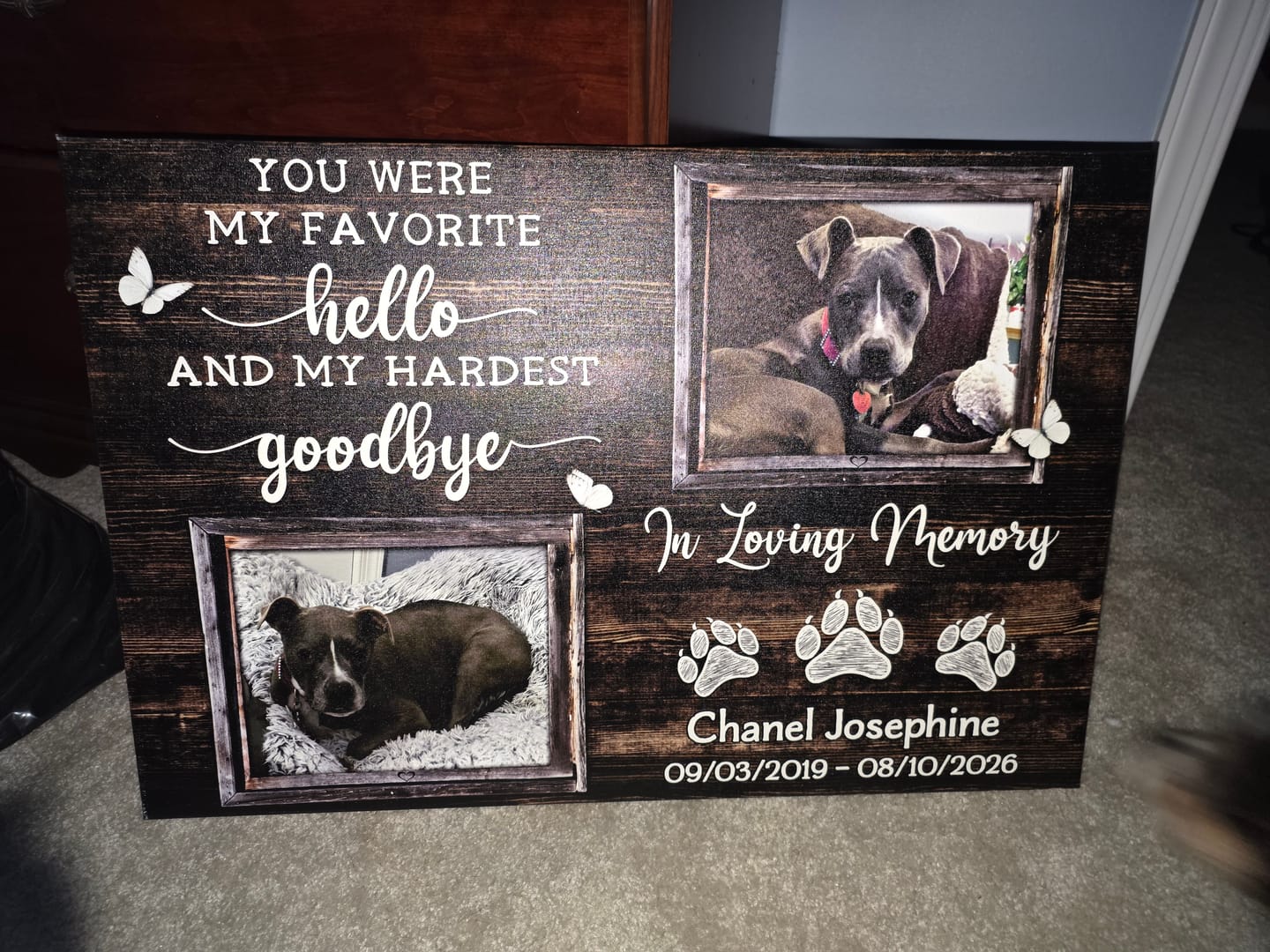 Customer photo review of Personalized Dog Memorial Gifts - Personalized Canvas Prints - You Were My Favorite Hello, Loss Of Dog Lover Gifts, Memorial Pet