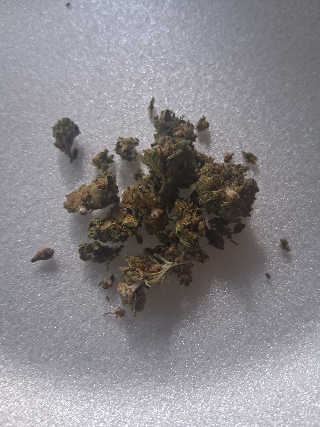 Customer photo review of Gelato Cake - 28 Grams - Hybrid